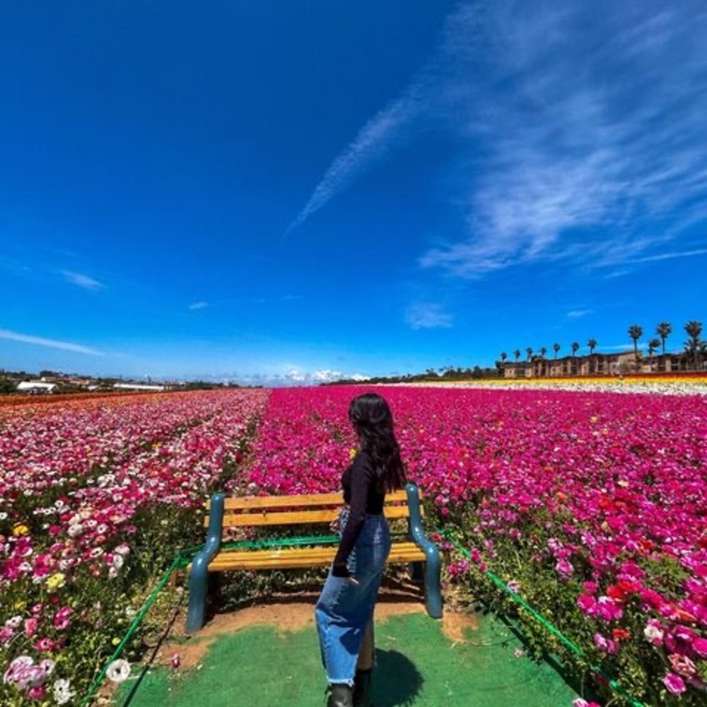 Meet your Posher, Samla